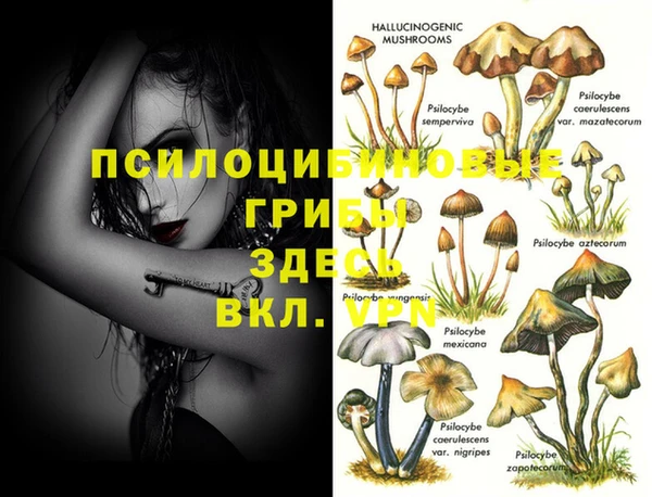 гашик Вязники